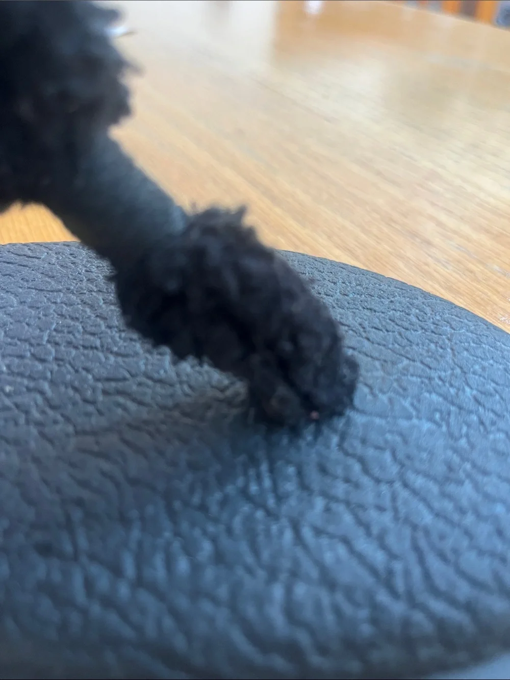 Sanuk Black faux fur yoga mat flip flop
